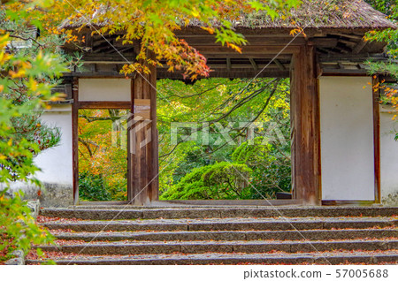 In front of Anrakuji Temple 57005688