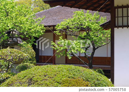 Seifutei and Ueki from Hiroshima Shukkeien 57005758