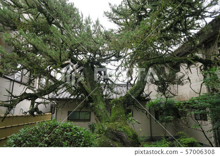 【四國88寺】高知縣宿毛市寺山伊吹39號圓光寺 【四國88寺】高知縣宿毛市寺山伊吹39號圓光寺 57006308