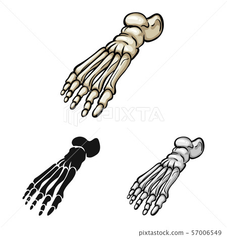 Isolated object of medicine and clinic icon. Set of medicine and medical stock vector illustration. Isolated object of medicine and clinic icon. Set of medicine and medical stock vector illustration. 57006549