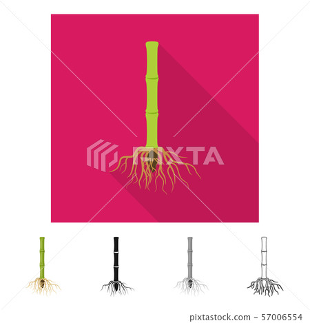 Vector illustration of root and system symbol. Collection of root and sprout vector icon for stock. 57006554