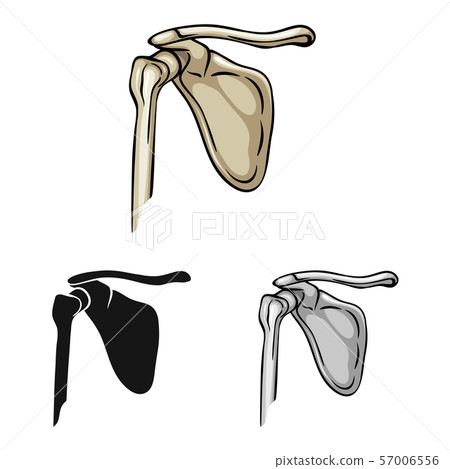 Vector design of medicine and clinic sign. Collection of medicine and medical stock vector Vector design of medicine and clinic sign. Collection of medicine and medical stock vector 57006556