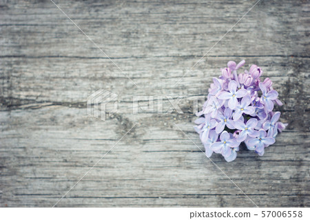 Lilac flowers on wooden background.Beautiful Lilac flowers on wooden background.Beautiful 57006558