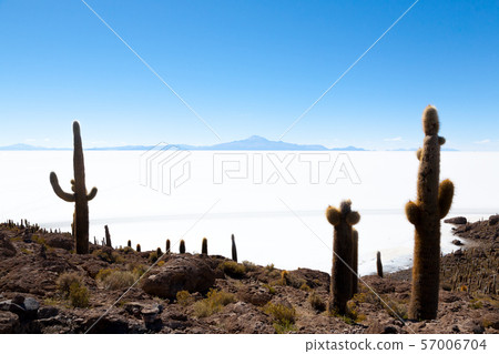 Salar de Uyuni view from Isla Incahuasi 57006704