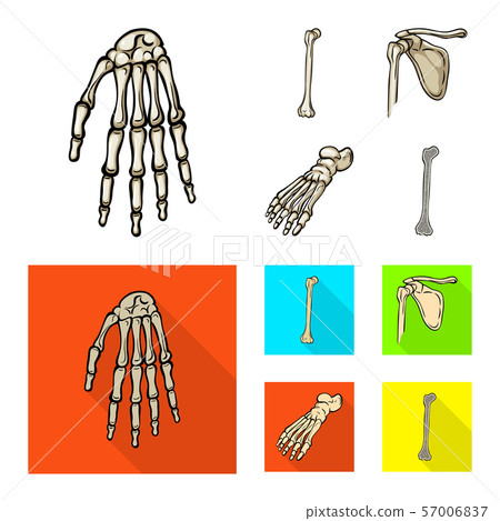 Isolated object of medicine and clinic icon. Collection of medicine and medical vector icon for 57006837