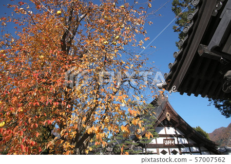 The precincts of Erinji Temple surrounded by autumn leaves The precincts of Erinji Temple surrounded by autumn leaves 57007562