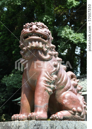 Shikagura Shingu神社陶器 Shikagura Shingu神社陶器 57007850