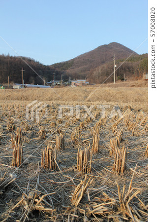 冬季農村景觀 57008020