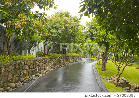 雨天柏油路 57008395