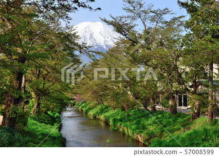 <Oshino Hakkai> Shinnasho River Walking Path Oshino-mura Oshino-mura, Minamitsuru-gun, Yamanashi 57008599