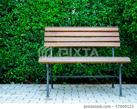 Wooden bench and green leaves wall background 57009123