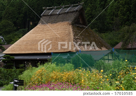 捲心菜屋頂 捲心菜屋頂 57010585