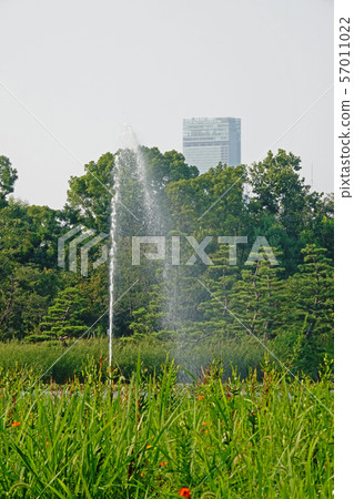 Harukas over the fountain 57011022