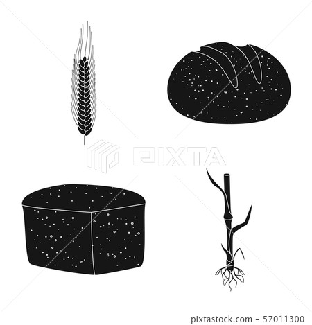 Vector design of rye and plant symbol. Set of rye and corn vector icon for stock. 57011300