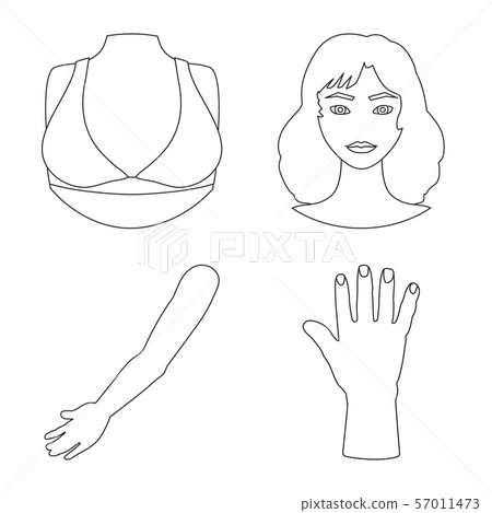 Vector illustration of body and part sign. Set of body and anatomy stock vector illustration. 57011473