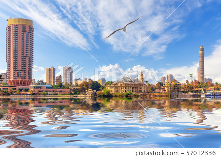 The Nile and famous sky-scrappers of Cairo, Egypt The Nile and famous sky-scrappers of Cairo, Egypt 57012336