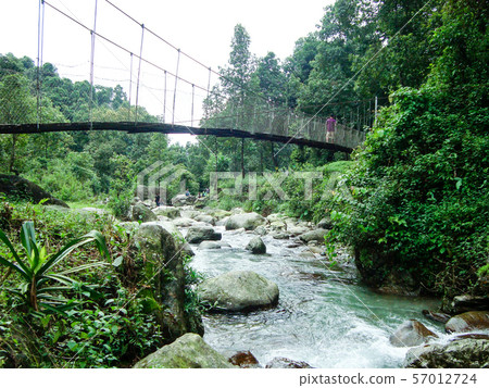 Suntalekhola (Samsing) bridge over Jhalong River, Kalimpong, India 57012724