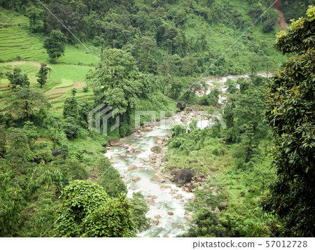 Main tributary of river Teesta, the Rangit river flowing through a dense pristine jungle in northeast of Rangpo Chu at Rangpo settlement just before the Teesta bridge at entrance to East Sikkim. 57012728