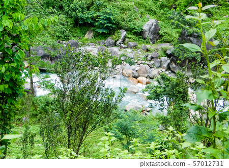 Main tributary of river Teesta, the Rangit river 57012731