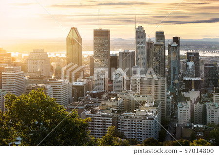 Montreal skyline from Mont Royal 57014800
