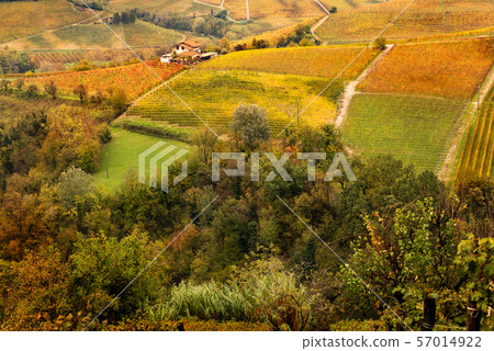 Piedmont countryside in autumn 57014922