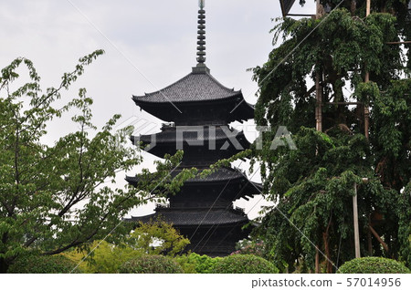 Toji 5-storied pagoda 57014956