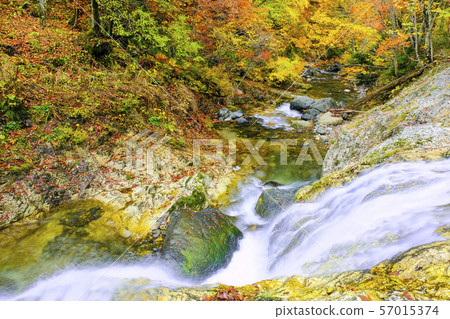 Autumn waterfall and mountain stream Autumn waterfall and mountain stream 57015374