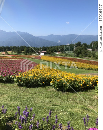 長野縣的風景 57016407