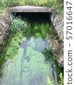 江 57016647