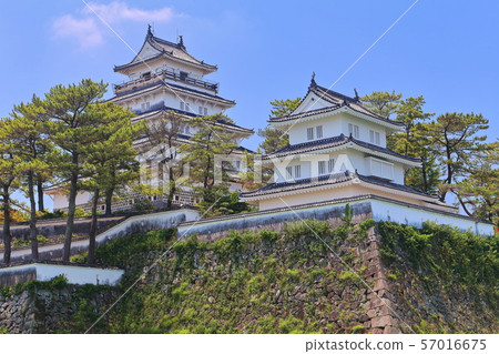 [長崎縣]在晴朗的天氣下的島原城堡塔 57016675