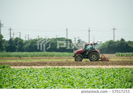 Tractor Tractor Plateau Vegetables Nature Nature Farm Car Farmer Primary Industry Driver Crop Tractor Tractor Plateau Vegetables Nature Nature Farm Car Farmer Primary Industry Driver Crop 57017255
