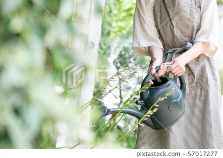 Gardening Hobby Watering Hand of a young Japanese woman with a watering can Gardening Hobby Watering Hand of a young Japanese woman with a watering can 57017277