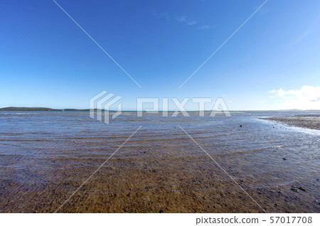 New Caledonia, Montdor, Corniche coastal low tide 57017708