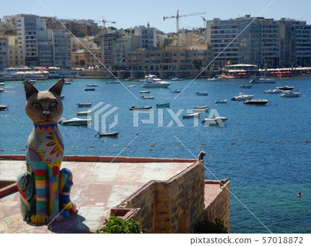 Cat park in Sliema, Malta 57018872
