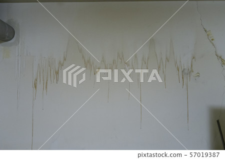 Stain on the wall Stain on the wall 57019387