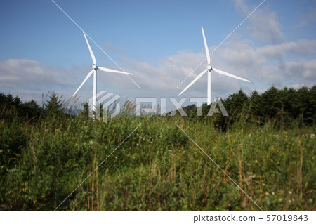 Gangwon-do, Daegwallyeong, Sheep Ranch 57019843