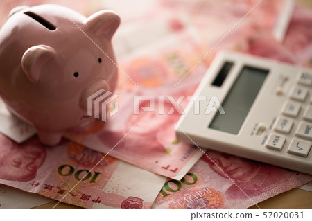 Money and pig piggy bank and calculator inspired by the family budget 57020031