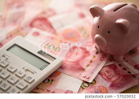 Money and pig piggy bank and calculator inspired by the family budget 57020032