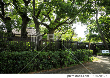 Ito Hirofumi Villa (Summer) Ito Hirofumi Villa (Summer) 57020323