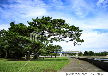Ito Hirofumi Villa (Summer) Ito Hirofumi Villa (Summer) 57020328