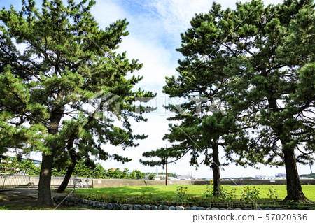 Ito Hirofumi Villa (Summer) Ito Hirofumi Villa (Summer) 57020336