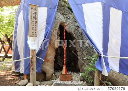 A married couple at Ikushima Ashida Shrine in Ueda City, Nagano Prefecture 57020676