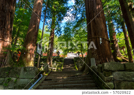 Kinpo Shrine Nanamotosugi 57020922