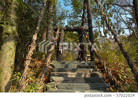Shikoku Village Kazura Bridge 57022024