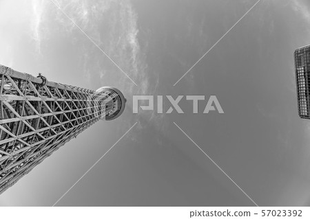 單色天空樹[東京] 57023392