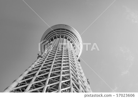 單色天空樹[東京] 57023606