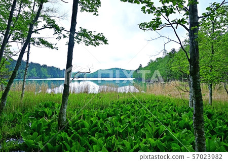 從海濱長廊@北海道的Onneto湖景 從海濱長廊@北海道的Onneto湖景 57023982