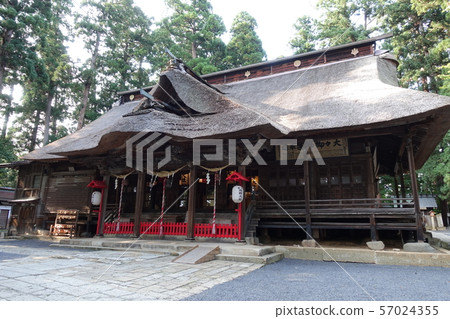 熊野泰莎 57024355