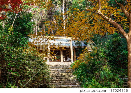 Uchinomiya Shrine Hall Hyuga Daijingu Shrine 57024536