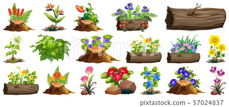 Large set of colorful flowers on rocks and wood 57024837